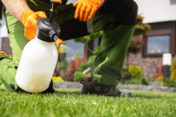 Best Emergency Pest Control  in Fox Crossing, WI