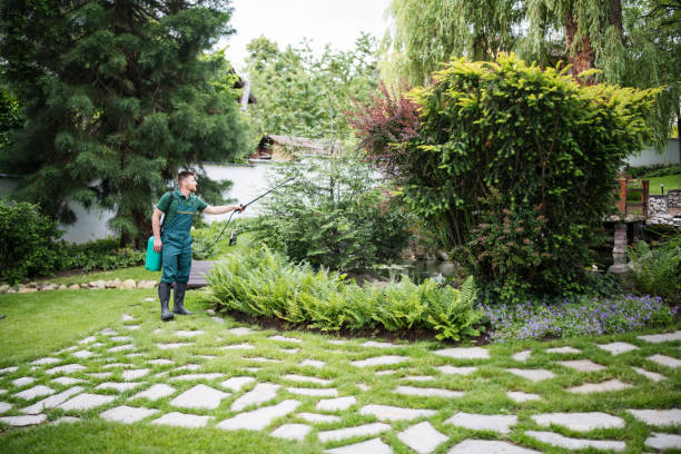 Best Cockroach Control Services  in Fox Crossing, WI