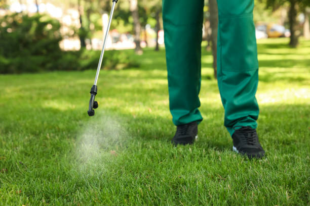 Pest Prevention Services in Fox Crossing, WI