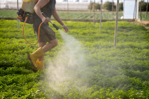 Best Mosquito Control Services  in Fox Crossing, WI