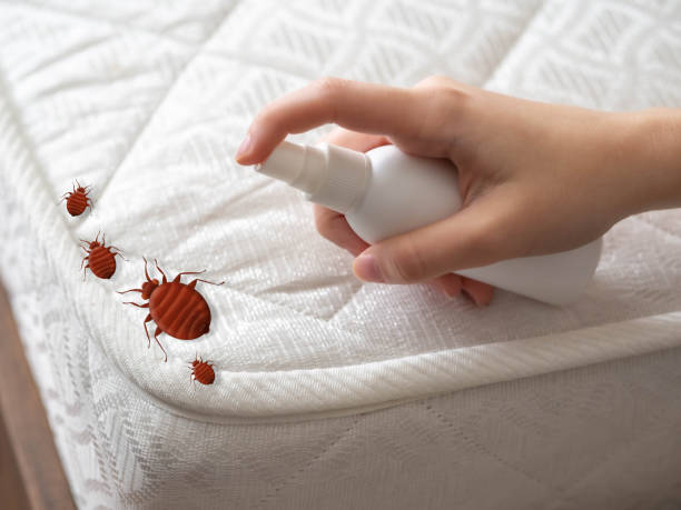 Pest Control for Restaurants in Fox Crossing, WI