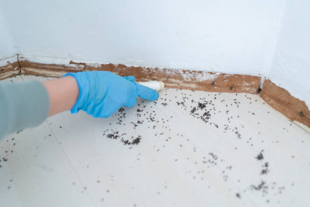 Wildlife Control Services in Fox Crossing, WI
