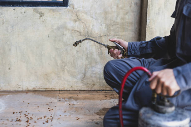 Best Residential Pest Control  in Fox Crossing, WI
